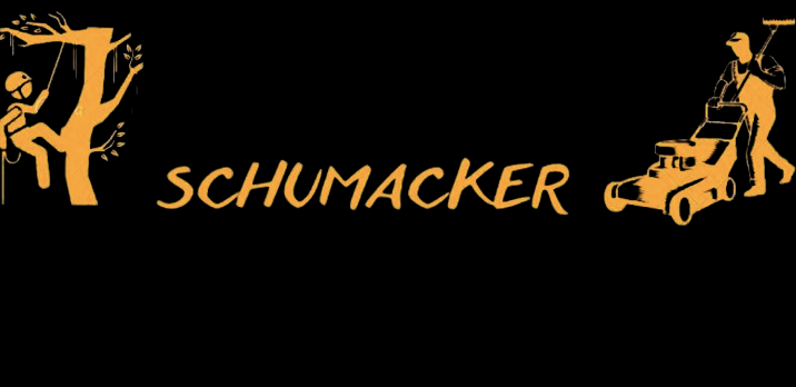 Schumaker nn